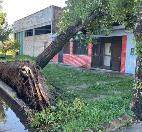 COMUNICADO DE LA COOPERATIVA ELÉCTRICA POR EL CORTE DE LUZ