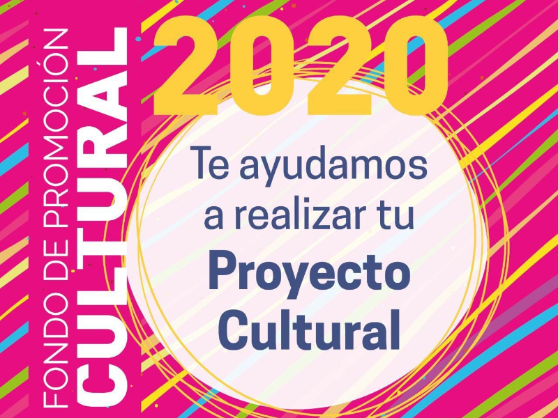 PRESENTACIÓN DE PROYECTOS PARA EL FONDO DE PROMOCIÓN CULTURAL